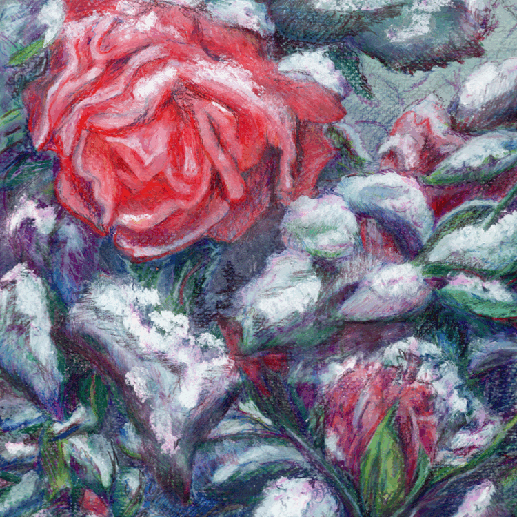 A Court of Frosted Blooms