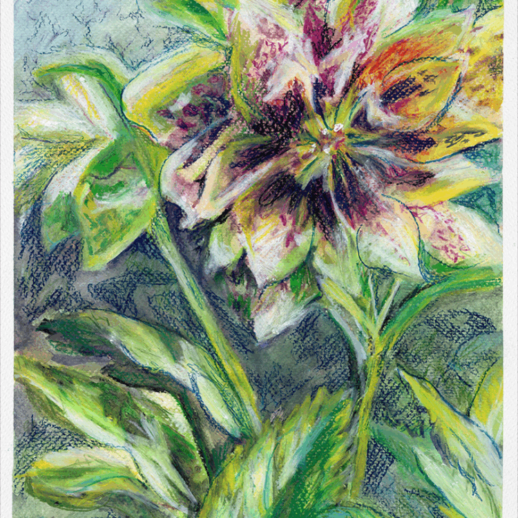 Lenten Rose - Father of the Bride Print